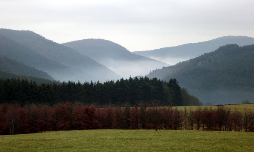 Landhaus Zur Linde Leilighet Winterberg Rom bilde